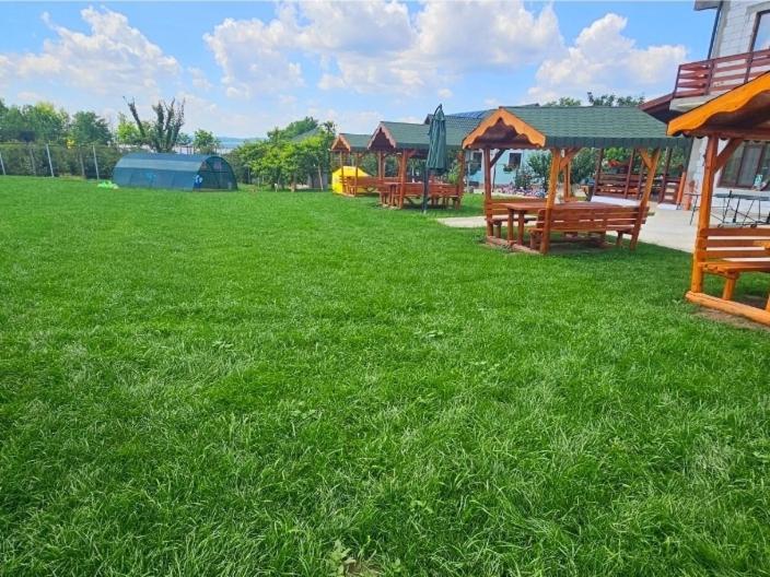 Bed and Breakfast Colt De Rai Hîrtoape Esterno foto